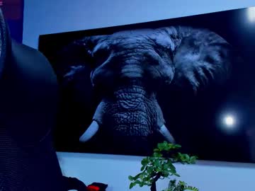 See Gael_reid online Now @ spicyfree.cam